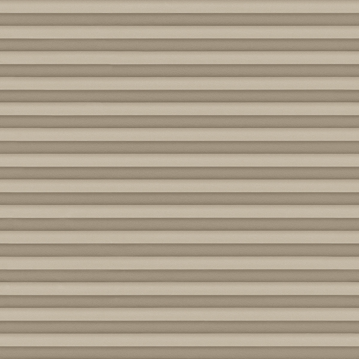 Crepp-Color-1579