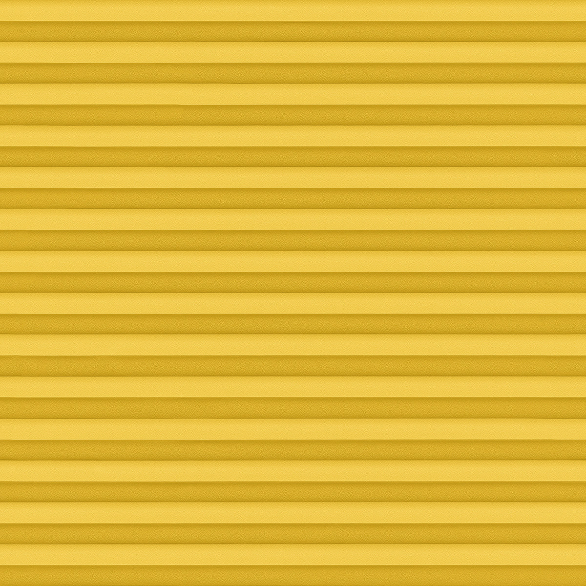 Crepp-Pearl-1644
