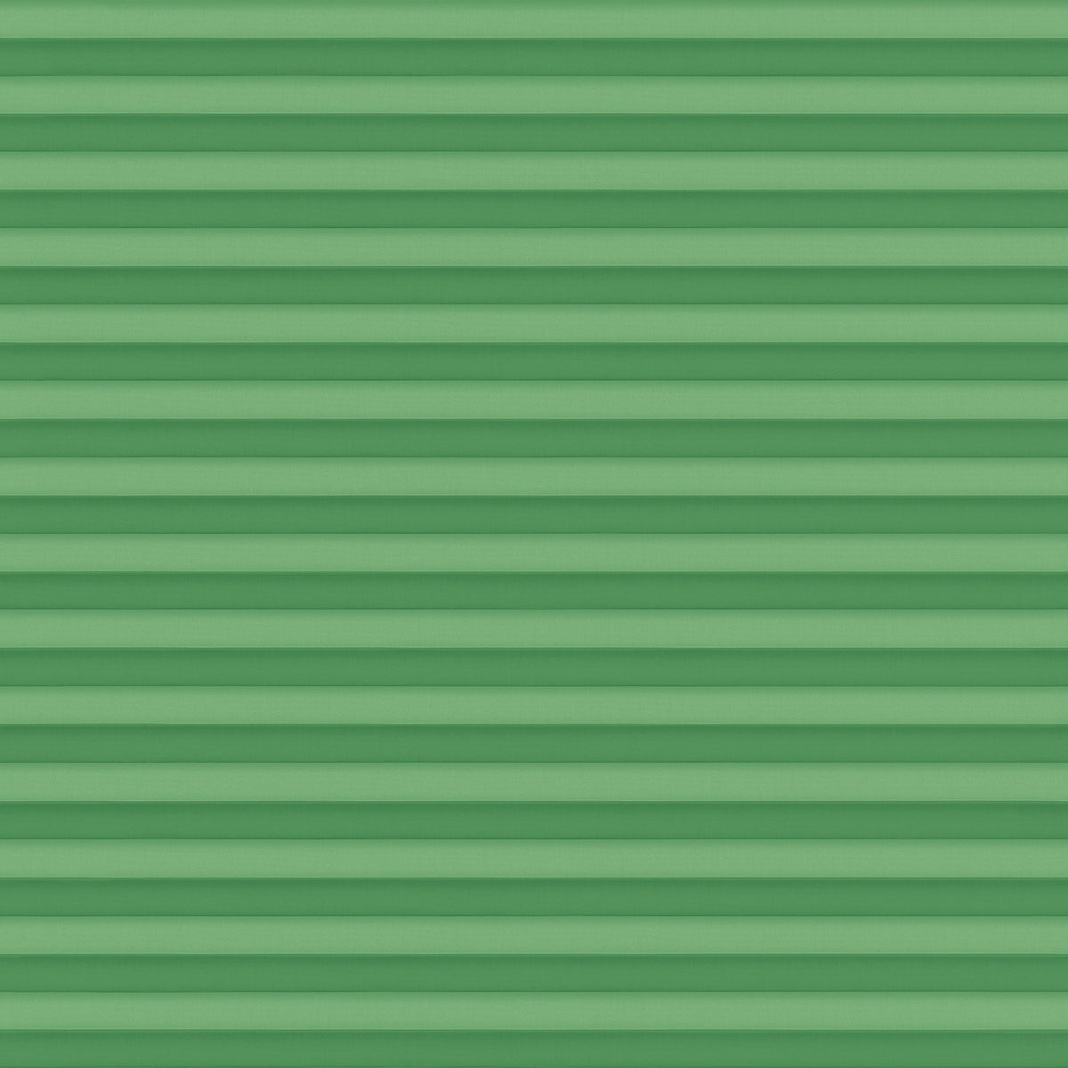 Oslo-3835