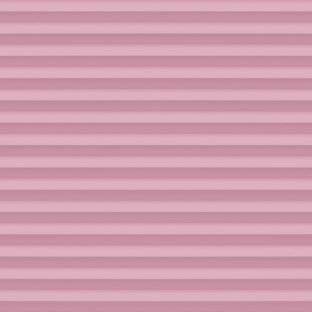 Stockholm-Pearl-4731