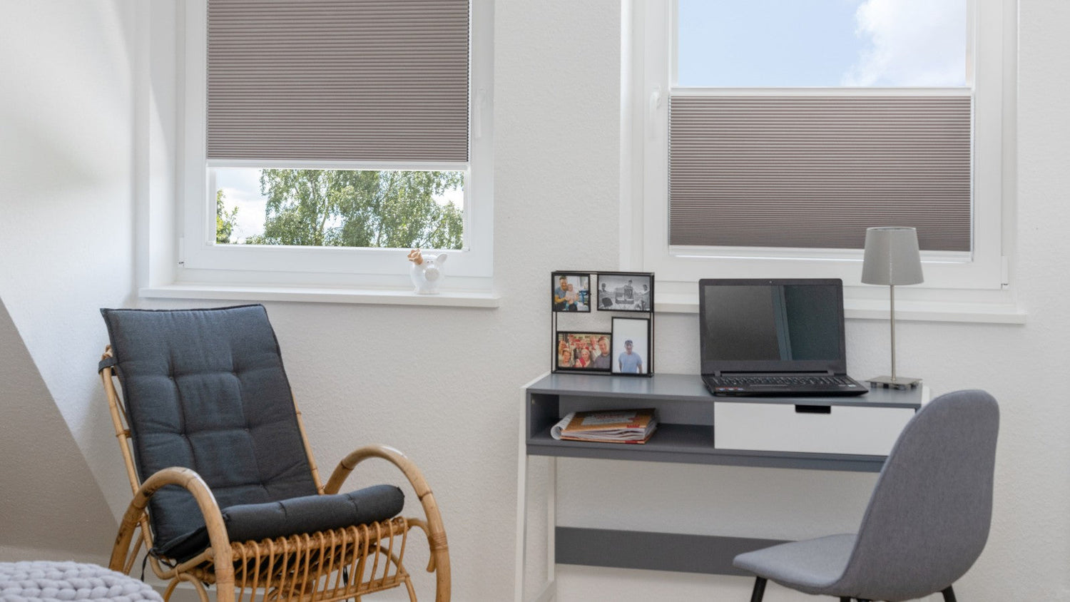 Plissee für Arbeitszimmer