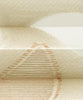 Assens-1270
