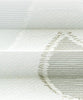 Assens-1271